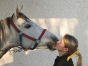 DOMA DOLCE - C.Ipp. La Contessa (Foggia)