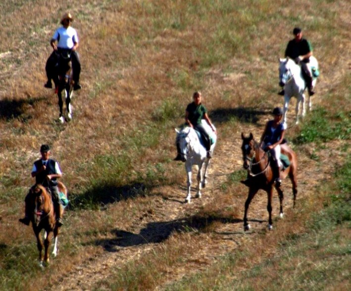 I Contessiani ad Ariano Irpino all' Equiraduno Fite Trec Ante 