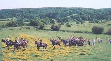 Trekking sul GARGANO (FG) Puglia - Italy